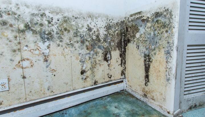 Professional mold removal, odor control, and water damage restoration service in Chesterfield, Virginia.