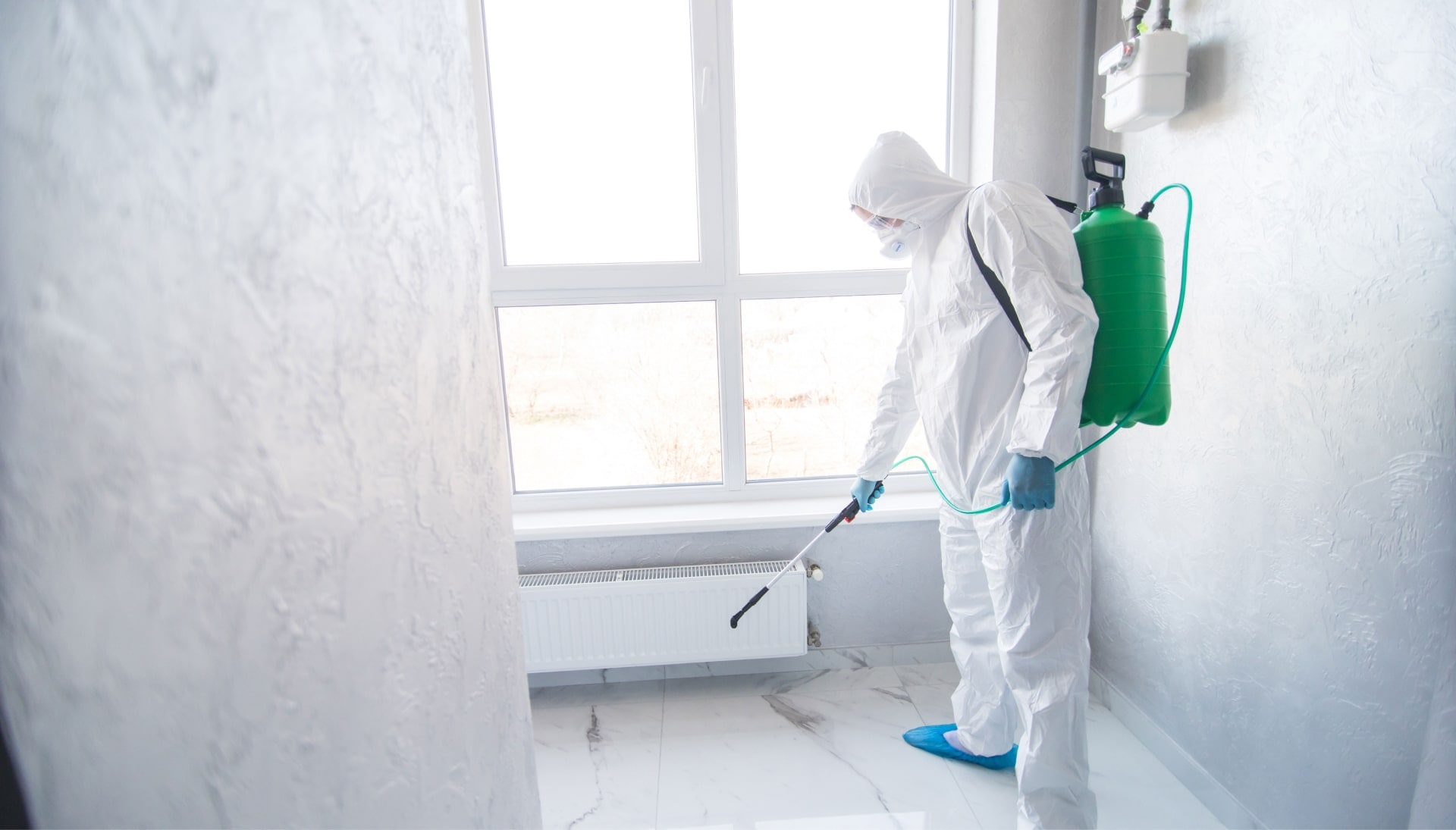 We provide the highest-quality mold inspection, testing, and removal services in the Chesterfield, Virginia area.